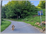 Slika_006.webp