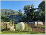 Slika_011.webp