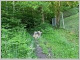 Slika_013.webp