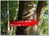Slika_016.webp