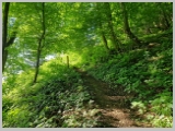 Slika_017.webp