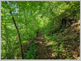 Slika_024.webp