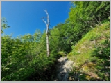 Slika_025.webp