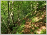 Slika_028.webp