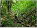 Slika_032.webp