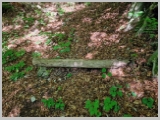 Slika_035.webp