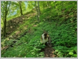 Slika_036.webp