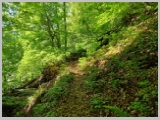 Slika_041.webp
