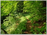 Slika_042.webp