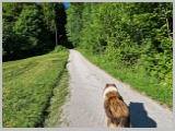 Slika_058.webp