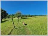 Slika_067.webp