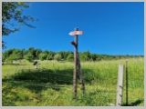 Slika_068.webp