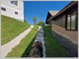 Slika_073.webp