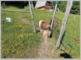 Slika_077.webp
