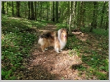 Slika_084.webp