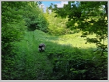 Slika_089.webp