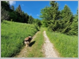 Slika_090.webp