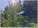 Slika_091.webp
