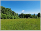Slika_092.webp
