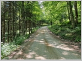 Slika_098.webp