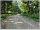 Slika_099.webp
