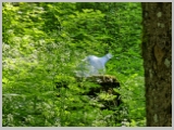 Slika_102.webp