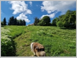 Slika_109.webp