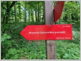 Slika_128.webp