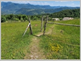 Slika_139.webp