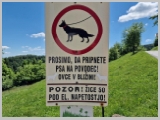 Slika_143.webp