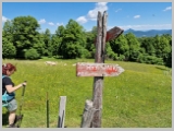 Slika_145.webp