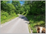 Slika_149.webp