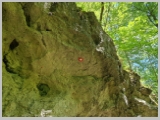 Slika_174.webp