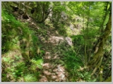 Slika_177.webp