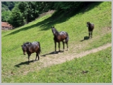 Slika_189.webp