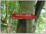 Slika_191.webp