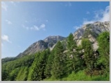 Slika_002.webp