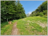 Slika_007.webp