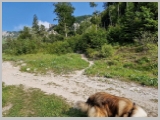 Slika_009.webp