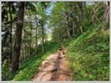 Slika_011.webp