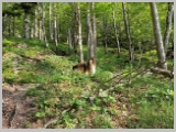 Slika_018.webp