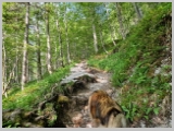 Slika_019.webp