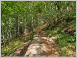 Slika_020.webp