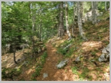Slika_021.webp