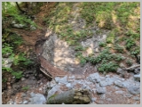 Slika_022.webp