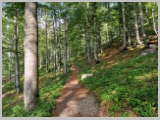 Slika_025.webp