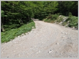 Slika_031.webp