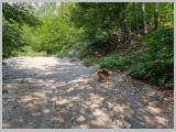 Slika_034.webp