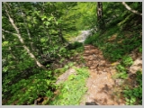Slika_036.webp