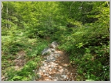 Slika_037.webp